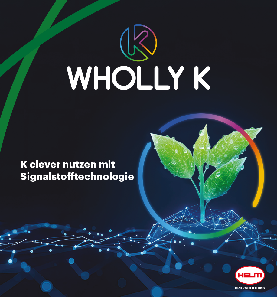 202604-HELM-DISPLAY-FULL-SITE