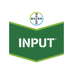 INPUT | Fongicide Systémique