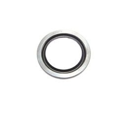 Dichtring 359005900R02 Bondioli & Pavesi Original 