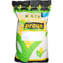 Maïs mixte 250 - Barcus - BIO