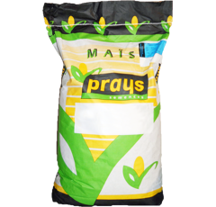 Maïs grain 220 - Mesum - BIO