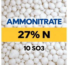 Ammonitrate 27 + 10 S03
