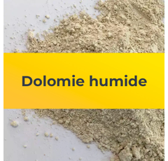 Dolomie humide  | Ca0 + MgO
