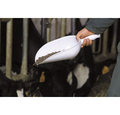 Pelle à grains en plastique - KAMER