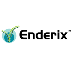 ENDERIX - Flufenacet 500g