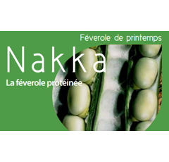 Féverole de printemps - Nakka - BIO