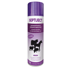 Bombe SEPTIJECT 500 ml