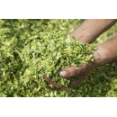 Analyse fourrage complète _ verts et fermentés