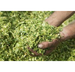 Analyse fourrage complète _ verts et fermentés