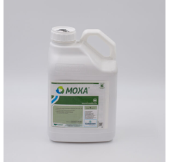 Moxa (PI) I Wachstumsregler