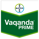 VAQANDA PRIME | Fongicide