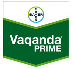 VAQANDA PRIME | Fongicide