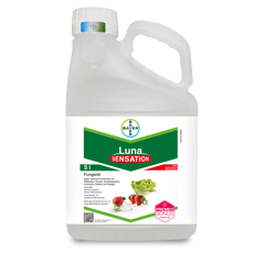 Luna Sensation | Fungizid