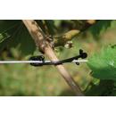 REMA - Rebstar schwarz - verschiedene Packungsgrößen