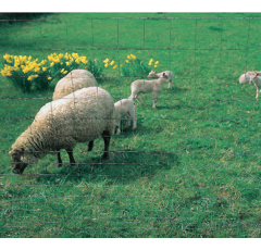 Grillage dico A 95-09.15 - 50 m