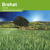 Triticale - Brehat - BIO