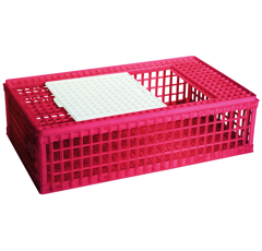Cage d'élevage pour poussins et cailles 95 x 58 x 28 cm - UKAL