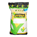 Saatmais - Abadan (S270 K280) | PRAYS