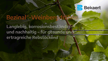 202602-BEKAERT-VIGNE