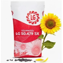 Tournesol linoléique demi-précoce - LG 50.479 SX