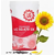 Tournesol linoléique demi-précoce - LG 50.479 SX