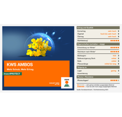 KWS Ambos | Hybrider Winterraps