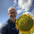 Sonnenblume Low-Oleic (LO), früh - basco_st