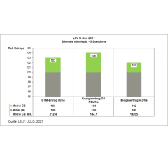 Saatmais - Motivi CS (S290 K280) LIDEA