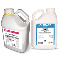 Pack AQUICINE DUO (1 x 10L) + CHAMANE (3 x 1L) | Fongicide