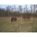 Euro-Netz Mustang 145/2 - 50 m - mit Doppelspitze