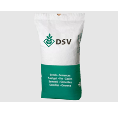 Saatmais - Leonteen (S240 K240) DSV