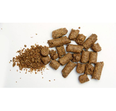 Drêche de maïs non OGM - Gand