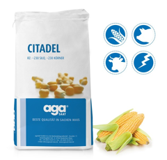 Saatmais - Citadel (S230 K230) AGASAAT