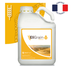 ELIGRAIN-A - Solution anti-stress hydrique pour céréales