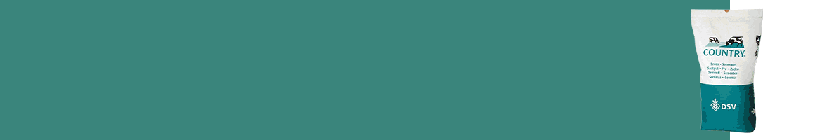 DSV_072025