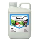 ERUNE