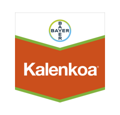 KALENKOA | Herbicide