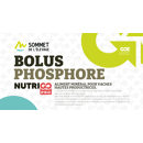 Offre spéciale BOLUS PHOSPHORE - 12 unités - Début de lactation | NutriGO