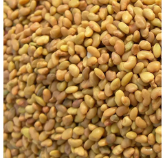 Luzerne type Sud - Eugenia