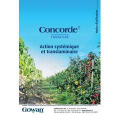 CONCORDE - Tetraconazole vigne
