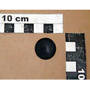 ZF472 Membran Amazone Tropfstop