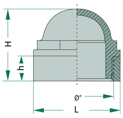Voyant 2" filetage mâle MZ