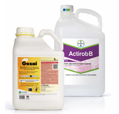 Pack GOZAI (1 x 5L) + ACTIROB B (1 x 10L)
