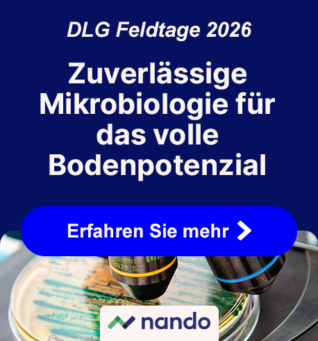 202605_NANDO_BRANDSTORE