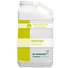 Orfevre
