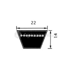 Correa trapezoidal para cosechadora MASSEY FERGUSON HCC54 adaptable