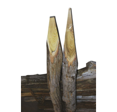 Appointeuse de pieux biface - RABAUD