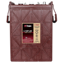 Trojan-Batterie 6 V 344AH c20,  Deep Cycle