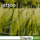 Jettoo - Hybride Wintergerste