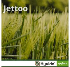 Jettoo - Hybride Wintergerste